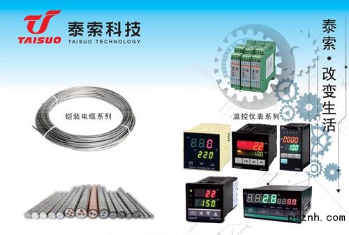 浙江泰索科技 智能感知驅動未來，物聯網科技點亮行業革新